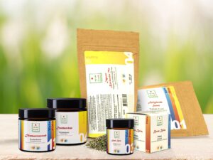 Ayurvedischer Immun-Booster